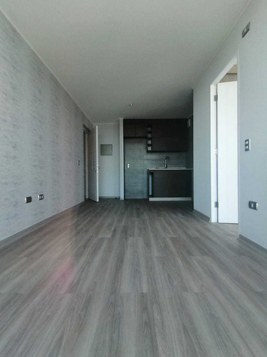 Departamento En Concepción 1d 1b 1e (103979)