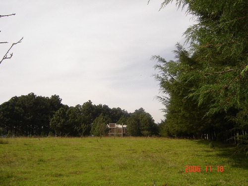 Venta De Lotes Campestres Sin Enganche Todas Las Medidas