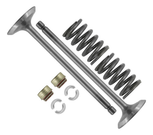 Caltric 0809-229 0809-040 0809-231 0809-233 Exhaust Valv Cch