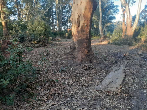 Lote Sobre Ruta 11 En Sarandi Proyecto Cabaña Financio