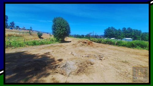 Terreno En Curali,santa Juana , Con Estero  (99143)