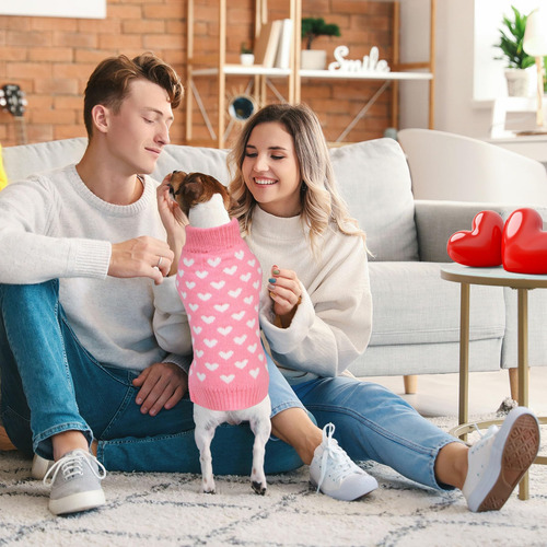 Suéter De Perros De San Valentín De Goyoswa, Traje De Ropa D