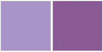 Imagem 2 de 2 de Repeteco - Linha Duo Lilás/roxo - Violeta