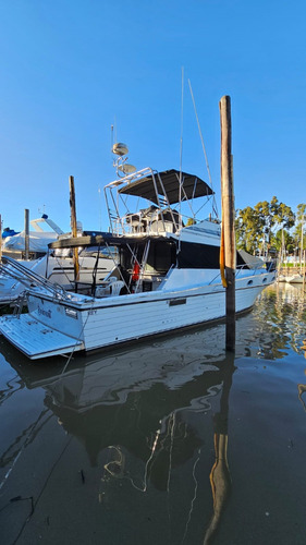 Tarrab 501 Dario Sacco Broker