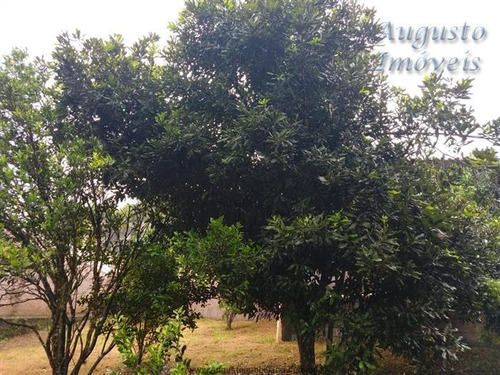 Imagem 8 de 29 de Chácaras À Venda Em Atibaia/sp - Compre O Seu Chácaras Aqui! - 1470765