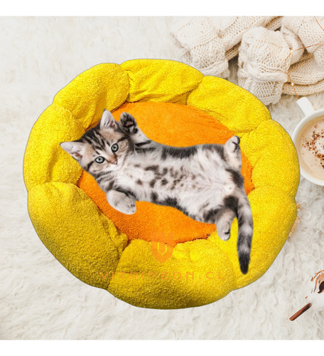 Cama Elevada Para Perro Gatos Camas De Perro Mascotas Xl
