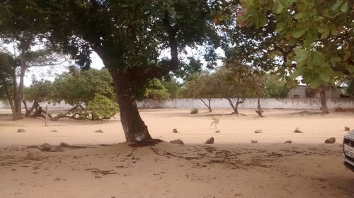 Imagem 6 de 10 de Chácara Com 4 Dormitórios À Venda, 12000 M² Por R$ 800.000,00 - Lagoa Do Bonfim - Nísia Floresta/rn - Ch0007