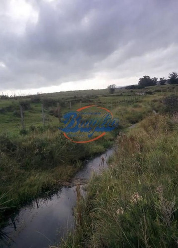 Venta Chacra / Campo Monoambiente Punta Del Este Braglia 378
