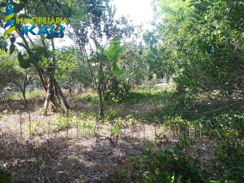 Imagen 2 de 8 de Terreno En Venta Juana Moza