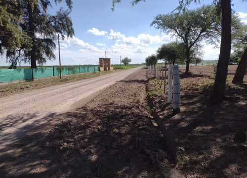 Vendo Propiedad De 5 Hectareas , Con Proyecto De Loteo , Incluye 2 Casas. Zona Inmejorable