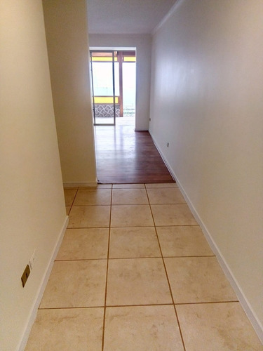 Imagen 7 de 21 de Full Remodelada Alto Macul Conjunto Cerrado