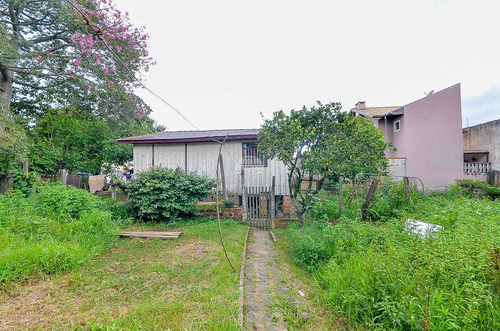 Imagem 22 de 30 de Terreno - Residencial - 923808
