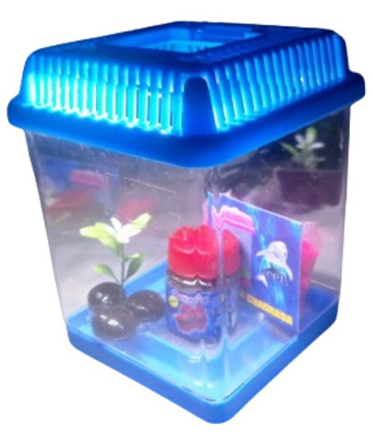 Kit Betta (pecera) 1 Litro Equipada Con Led