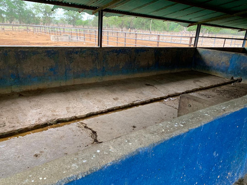 Vendo Hermosa Hacienda Ubicada En San Felipe Edo. Yaracuy Yb