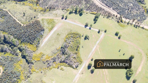 Venta Parcelas Urbanas En  Penco
