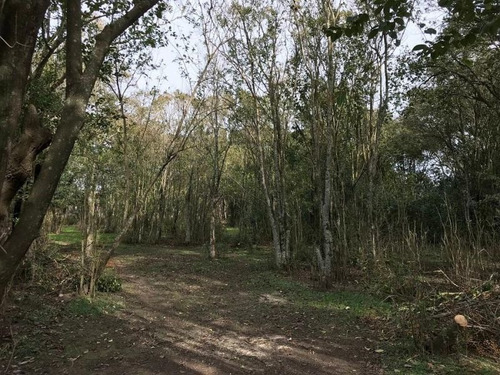 Imagen 4 de 13 de Lote | Mendoza