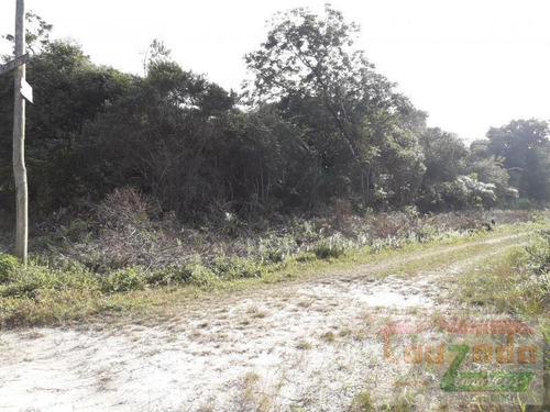 Terreno Para Venda Em Peruíbe, Guarau Garça Vermelha - 1706_2-719669