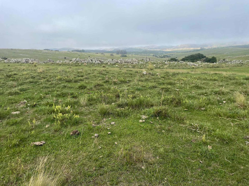 Imagen 20 de 21 de 270 Hectareas Ganaderas A 28 Km De Minas 3300 Dólares La Hec
