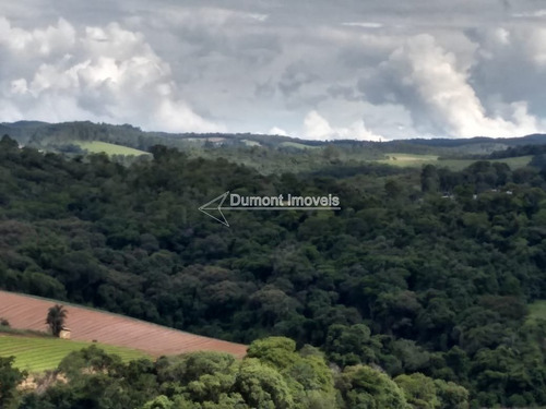 Imagem 8 de 12 de Lindo Terreno No Bairro Lageadinho. Cód 380.