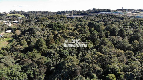 Imagem 11 de 23 de Área À Venda, 11914 M² Por R$ 5.766.419,56 - Cidade Industrial - Curitiba/pr - Ar0007