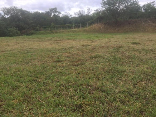 Imagem 8 de 30 de Área À Venda, 20000 M² Por R$ 5.000.000 - Éden - Sorocaba/sp, Próximo Ao Paço Municipal. - Ar0007 - 67640769