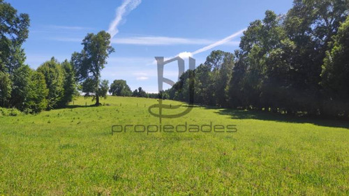 Imagen 20 de 25 de Venta De Parcela En Villarrica