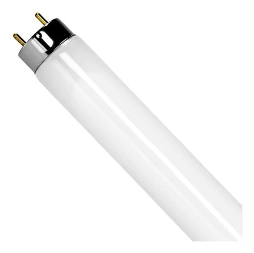10 Lámparas Plusrite Lineal, 120* 2.5 Cm, T8, 32w, 4100k.