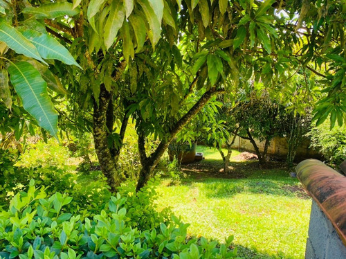 Imagem 11 de 30 de Linda Chácara À Venda Em Mairiporã/sp - 0127 - 34968823