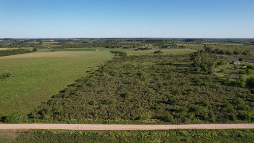Imagen 10 de 20 de Campo - Colón