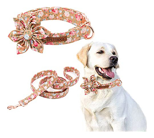 Pettidol Cute Floral Mujer Collar De Perros Y Correa 9dfrh