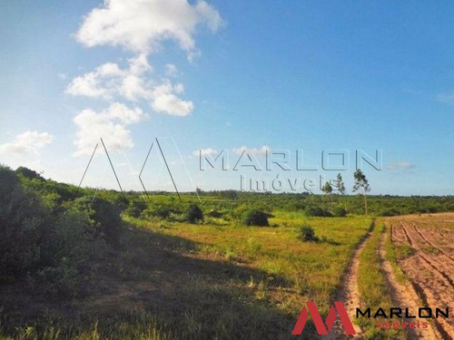 Imagem 5 de 10 de Terreno Ceará Mirim