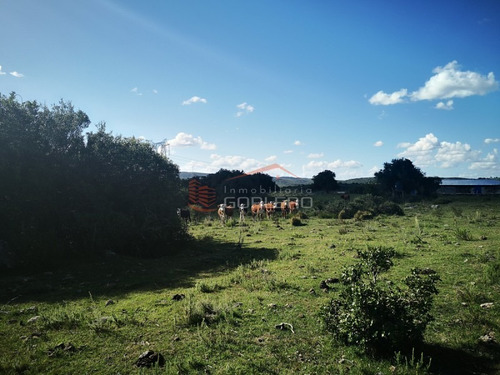 Campo Ganadero En Venta En Maldonado, A 60 Km De Punta Del Este- Ref: 26296