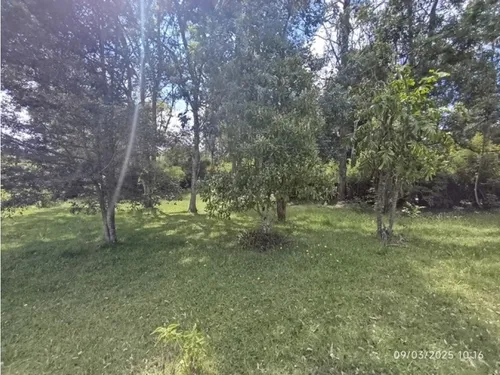 Vendo Lote En Llano Grande Vereda Cabeceras De 6.307 M² Sobre Vía