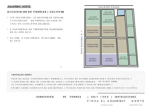 Campo - Finca Productiva De Primer Nivel, Sobre Ruta 7, Mendoza, 24 Has