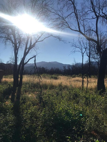 Imagen 5 de 10 de Terreno - Las Golondrinas