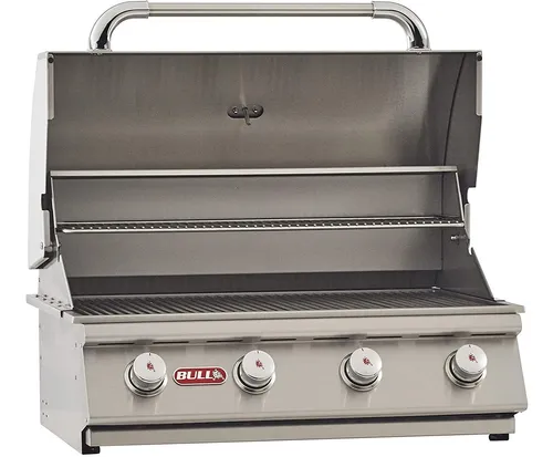 Drop in grill 2025