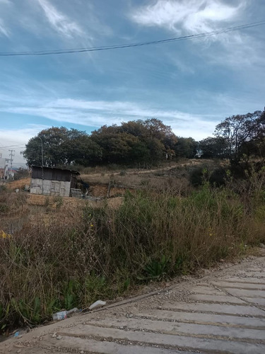 Venta Terreno En Rancho Blanco