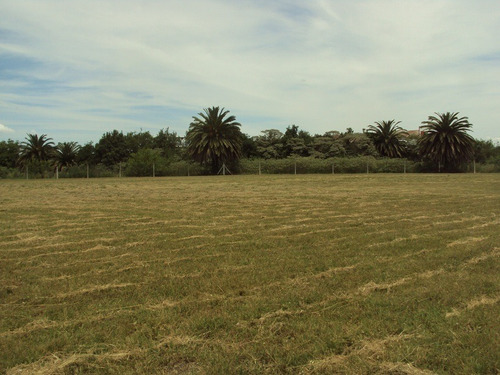 Imagen 3 de 6 de Lote De Terreno En Venta En Chscomus, Avenida Alfonsin