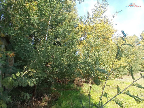 Se Vende Parcela Sector Chacarillas De 5.000 Mt2 En Maule