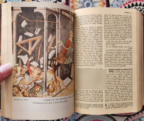 La Santa Biblia - Ediciones Paulinas (Usado)