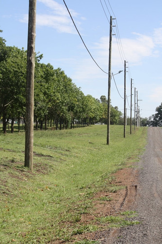 Imagen 19 de 30 de Terreno Lote En Venta Ubicado En Zelaya, Pilar, G.b.a. Zona Norte