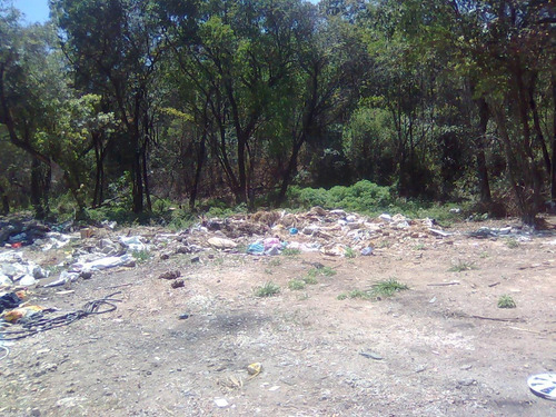 Terreno / Área Para Comprar No Novo Riacho Em Contagem/mg - 6857