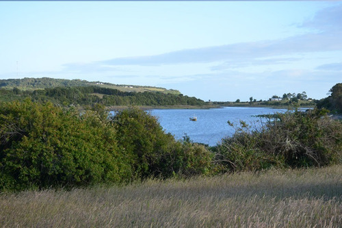 Imagen 12 de 16 de Se Venden Parcelas Con Orilla De Playa En Chiloé