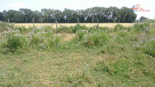 Imagen 26 de 30 de Agrícola En Venta En Linares