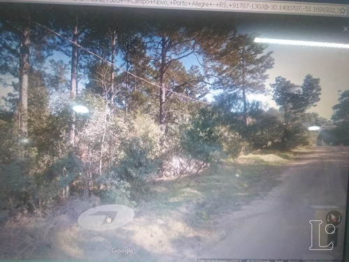 Terreno Em Hípica - Lu272882