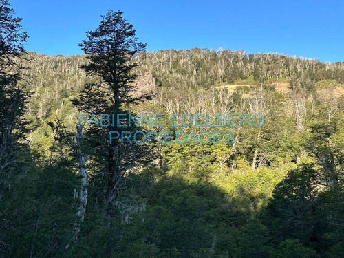 Terreno Vistas Únicas De 6000 M2 Con Proyecto Valle Escondido - San Martin De Los Andes