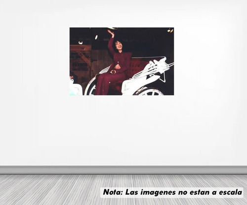 Vinil Sticker Pared 100cm Lado Selena Quintanilla Modld0038