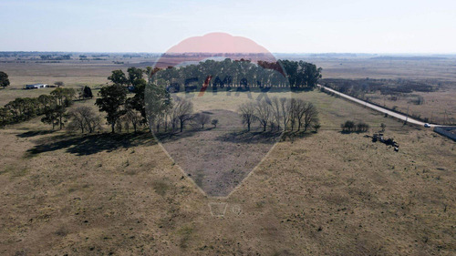 Imagen 9 de 13 de Campo 157 Hcts En Venta San Vicente P/desarrollo