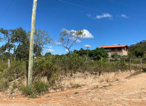 Lote
