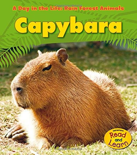 Capybara (a Day In The Life Rain Forest Animals)